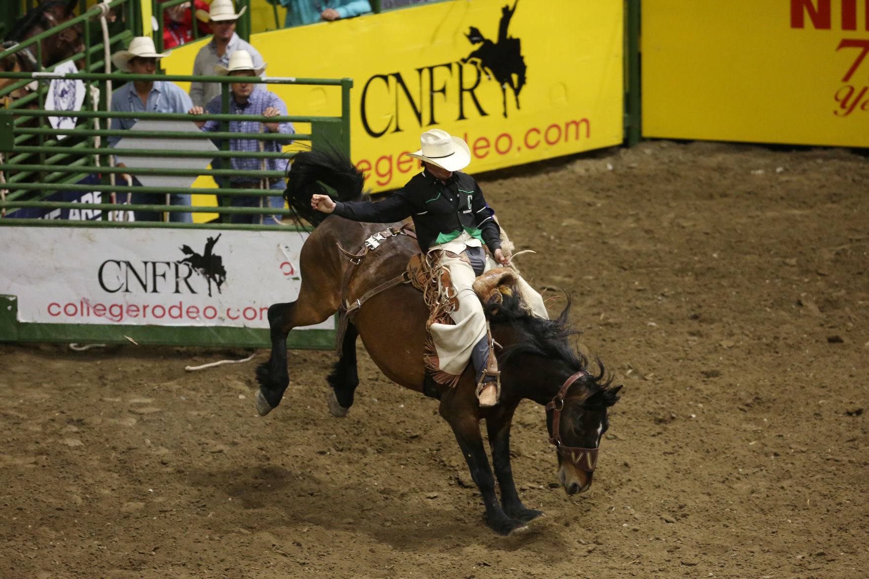 CNFR